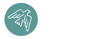 Joonas Kokko